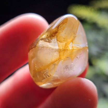 Golden Healer Quartz Crystal, Choose Your Quantity