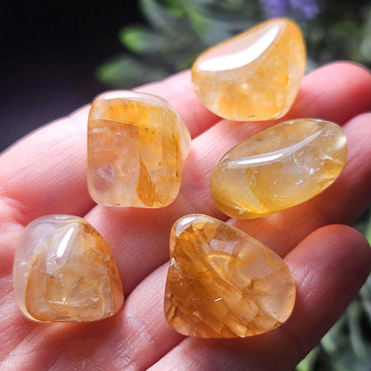 Golden Healer Quartz Crystal, Choose Your Quantity