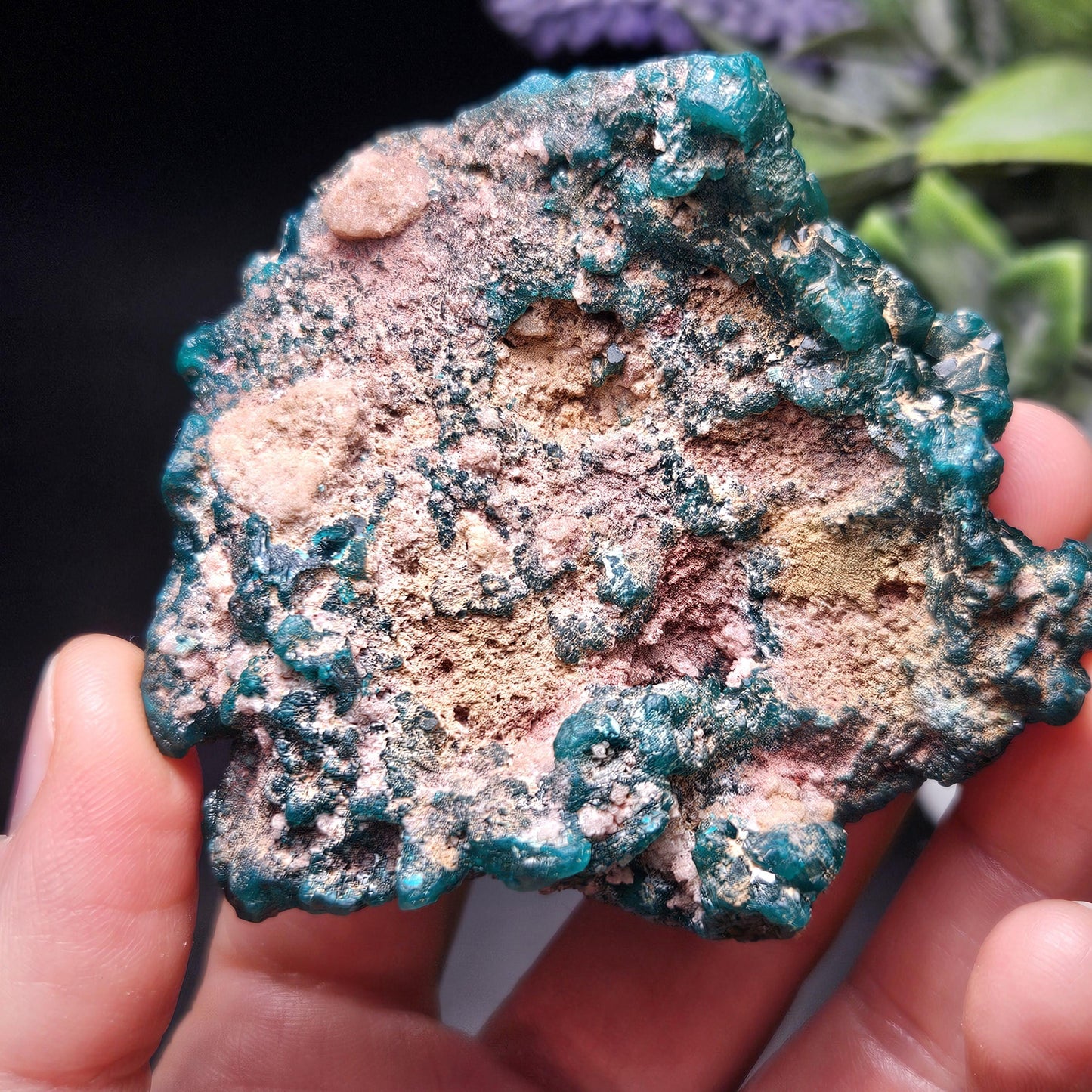Dioptase Crystal Cluster from Congo 81.09g