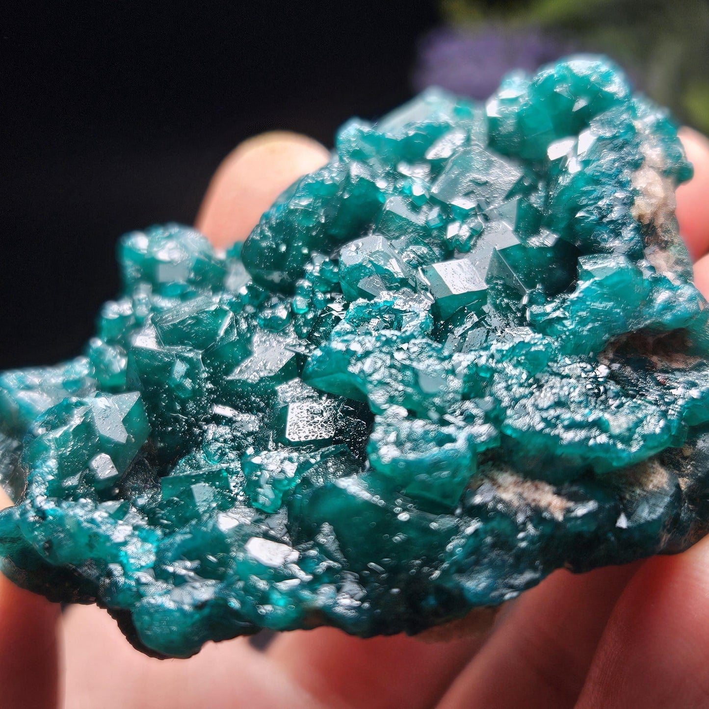 Dioptase Crystal Cluster from Congo 81.09g