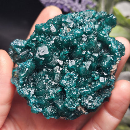 Dioptase Crystal Cluster from Congo 81.09g