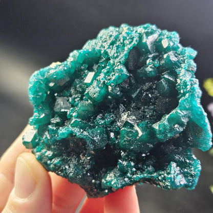 Dioptase Crystal Cluster from Congo 81.09g