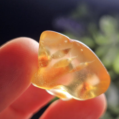 Enhydro Amber with MOVING Bubbles, 2.35g