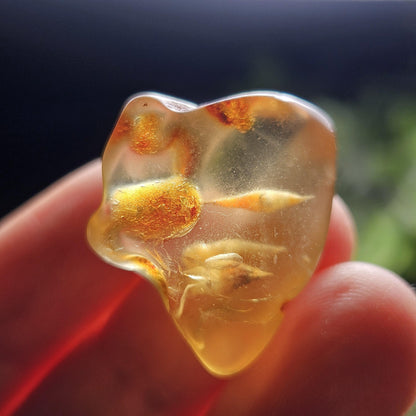 Enhydro Amber with MOVING Bubbles, 2.35g