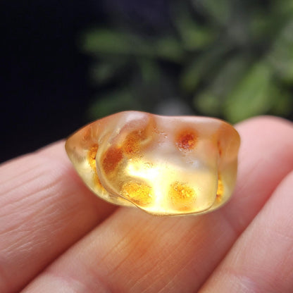 Enhydro Amber with MOVING Bubbles, 2.35g