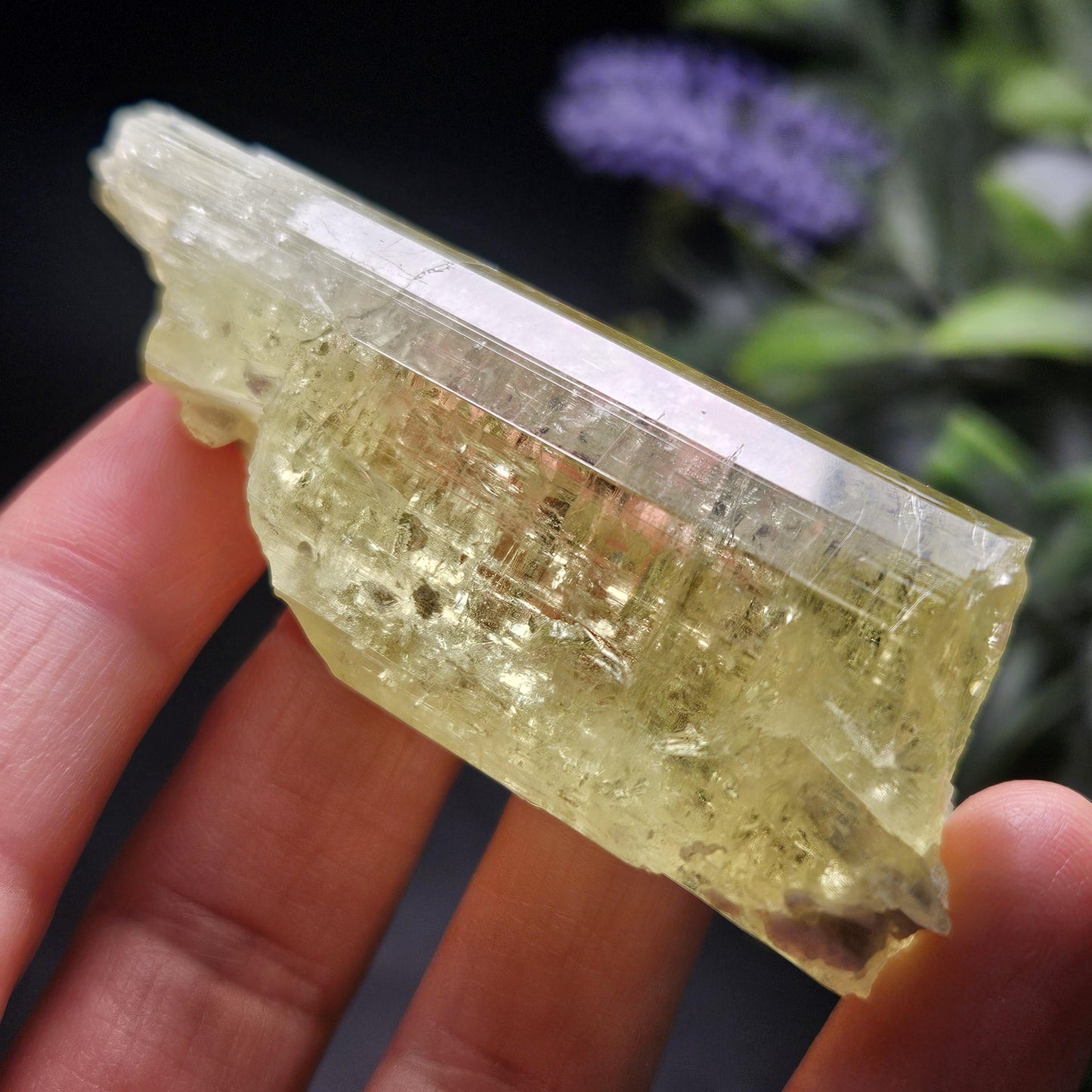 Golden Heliodor Crystal 47.46g