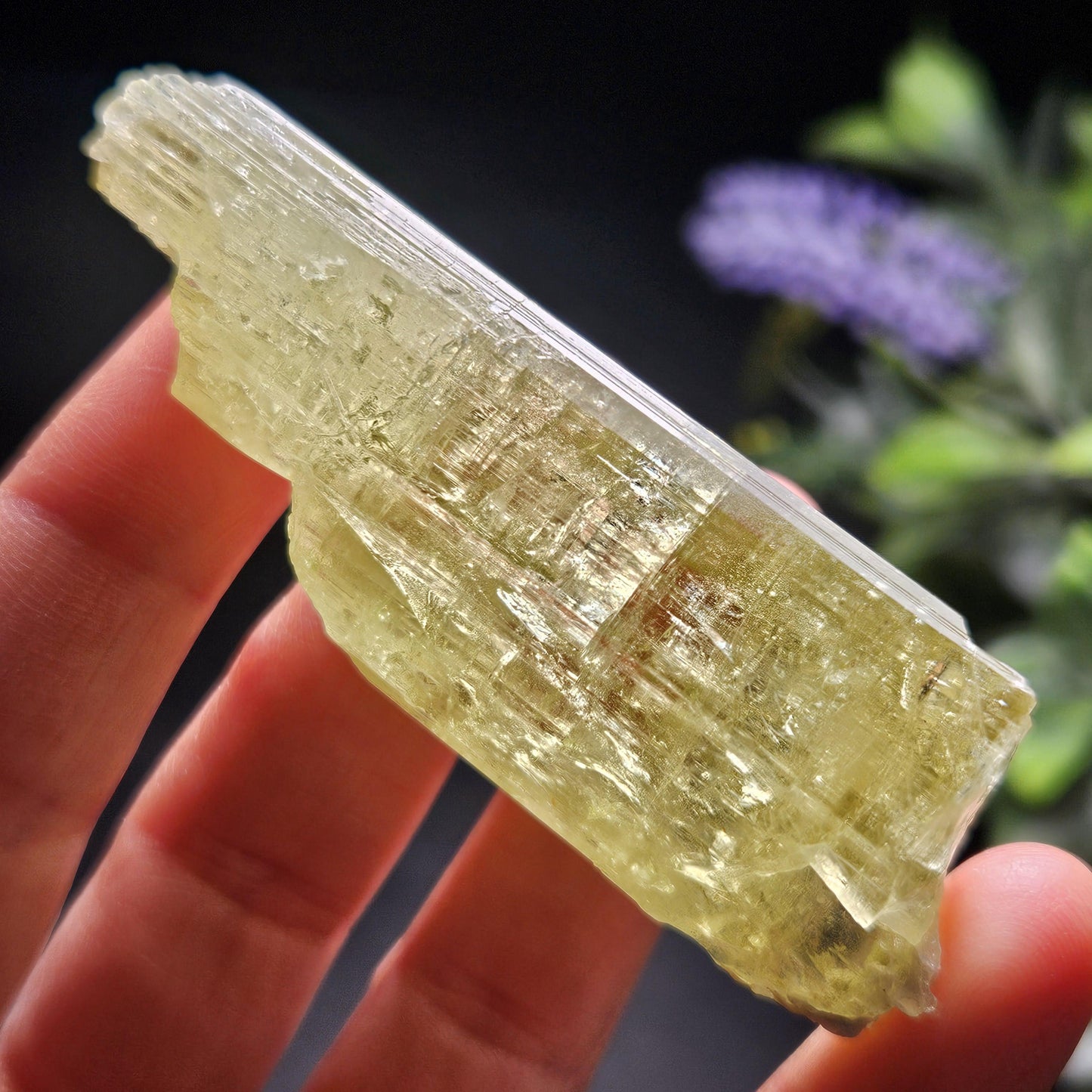 Golden Heliodor Crystal 47.46g