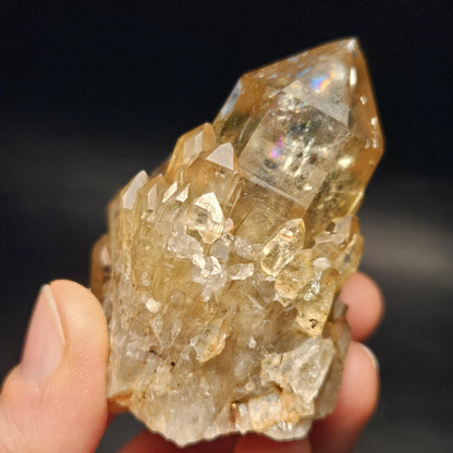 Kundalini Congo Citrine Quartz Cluster 132.59g, Smoky Citrine Crystal Multi