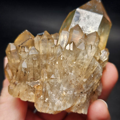 Kundalini Congo Citrine Quartz Cluster 132.59g, Smoky Citrine Crystal Multi