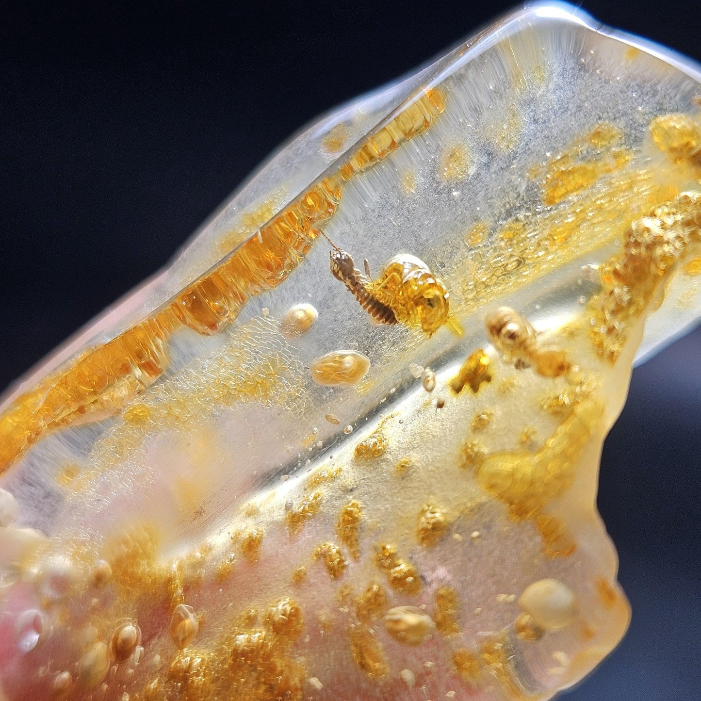 Enhydro Amber with MOVING Bubbles, 6.57g