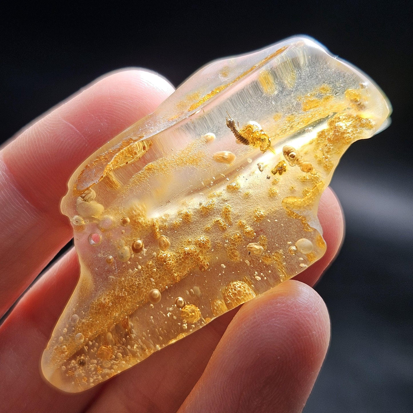 Enhydro Amber with MOVING Bubbles, 6.57g