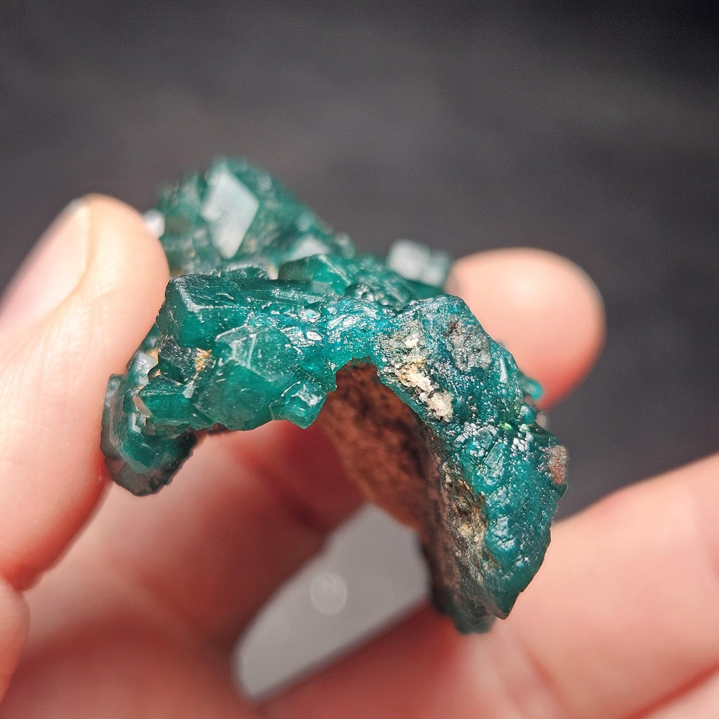 Dioptase Crystal Cluster from Congo 39.69g