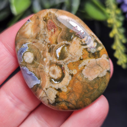 Rainforest Jasper Crystal, Polished Rainforest Jasper Specimen