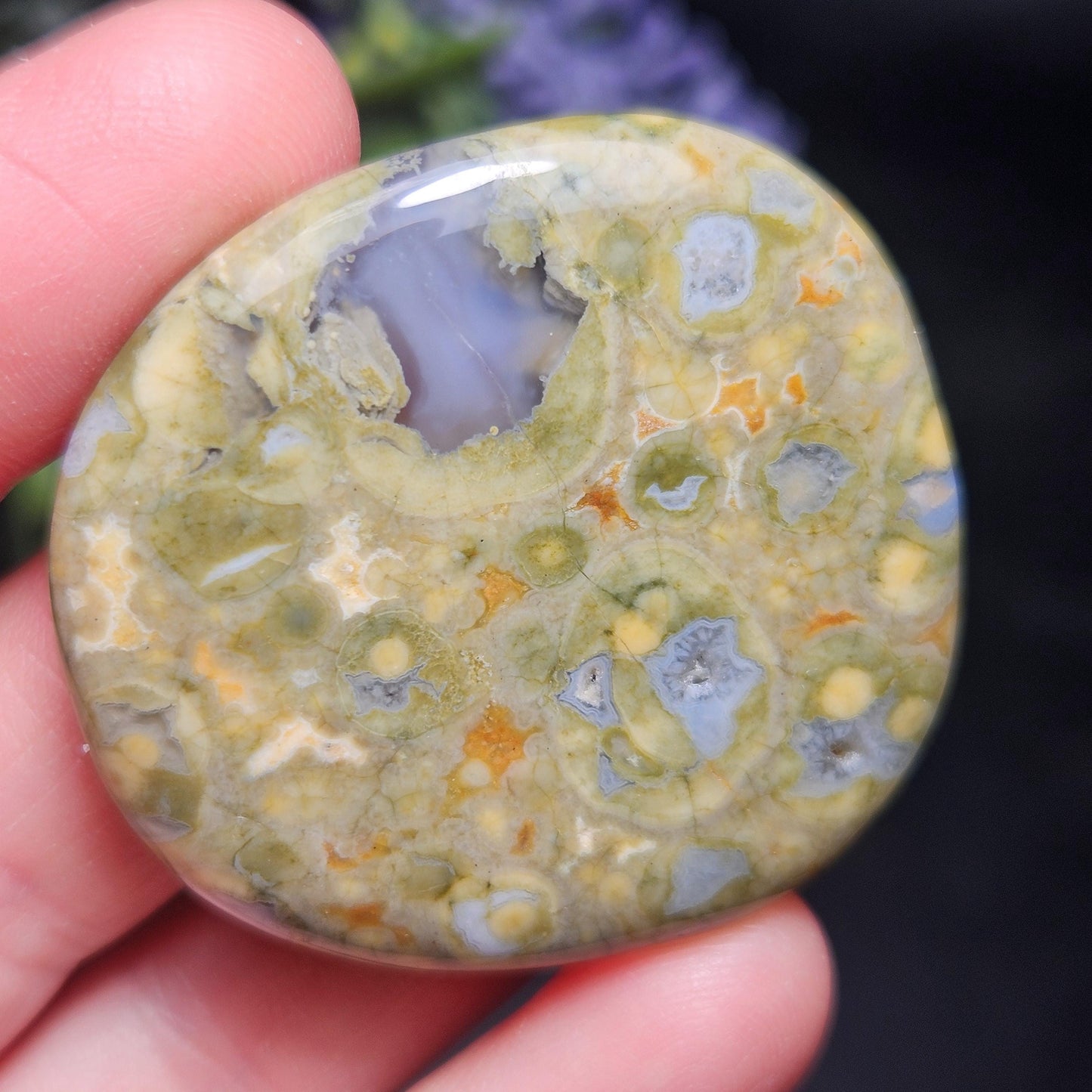 Rainforest Jasper Crystal, Polished Rainforest Jasper Specimen