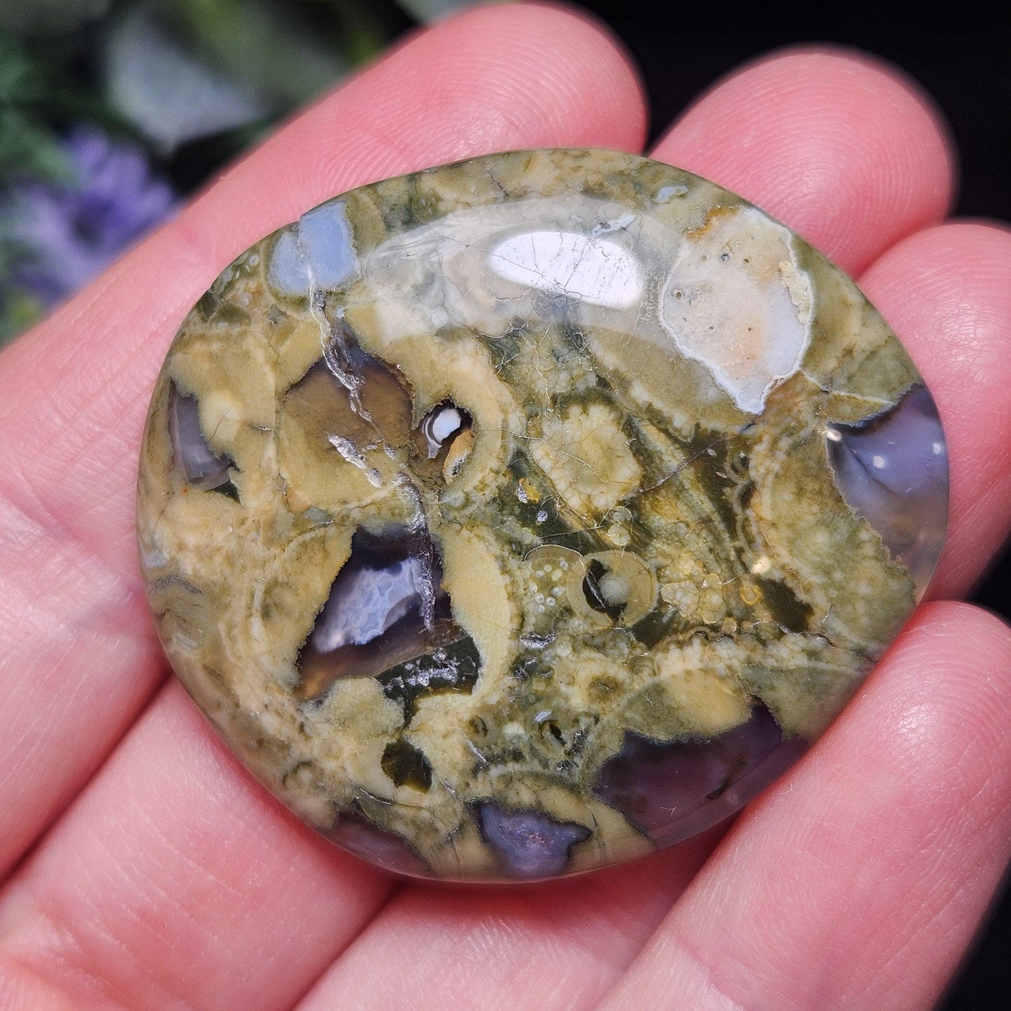 Rainforest Jasper Crystal, Polished Rainforest Jasper Specimen