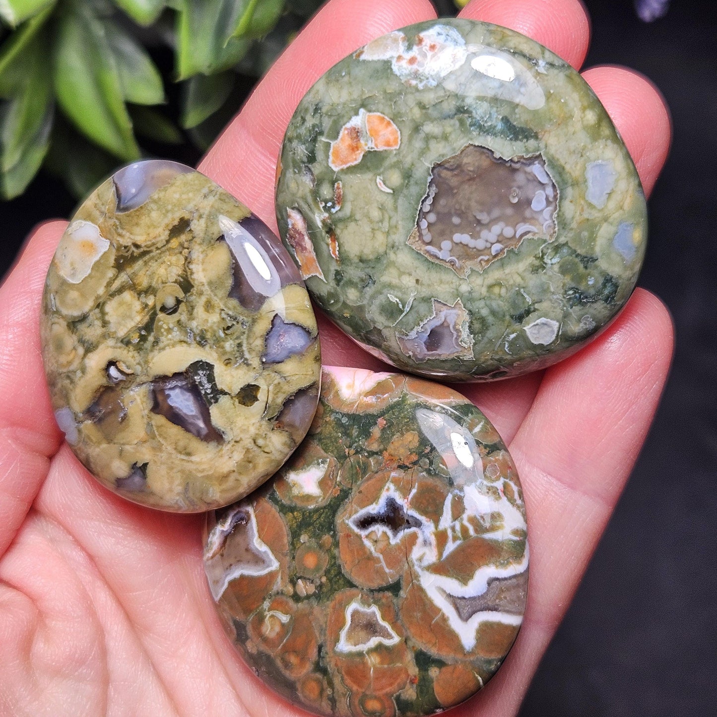 Rainforest Jasper Crystal, Polished Rainforest Jasper Specimen