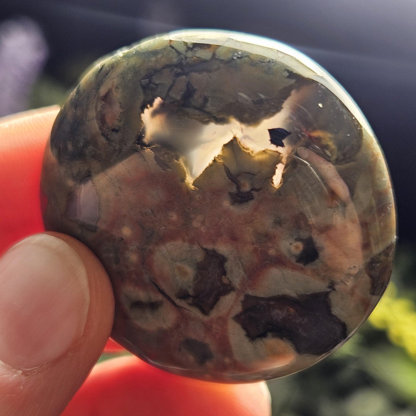 Rainforest Jasper Crystal, Polished Rainforest Jasper Specimen