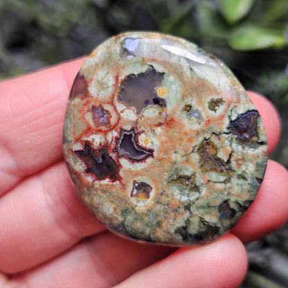 Rainforest Jasper Crystal, Polished Rainforest Jasper Specimen