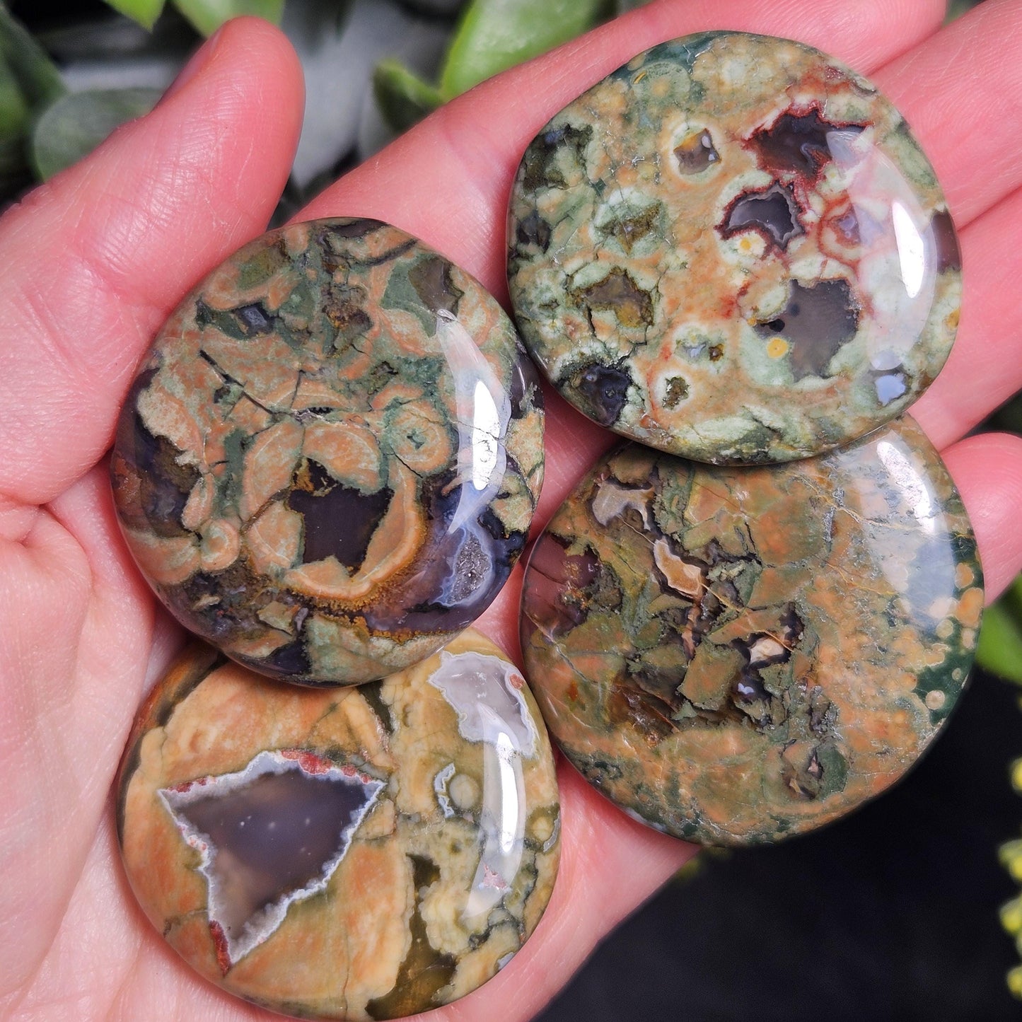 Rainforest Jasper Crystal, Polished Rainforest Jasper Specimen