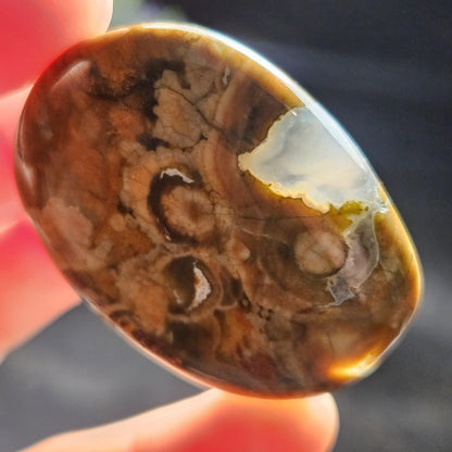 Rainforest Jasper Crystal, Polished Rainforest Jasper Specimen
