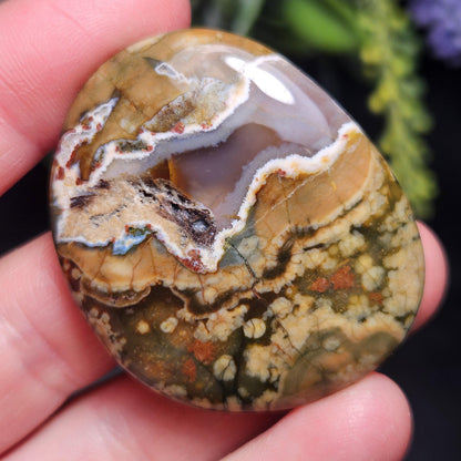 Rainforest Jasper Crystal, Polished Rainforest Jasper Specimen