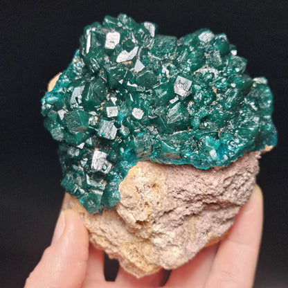 Dioptase Crystal Cluster from Congo 321g