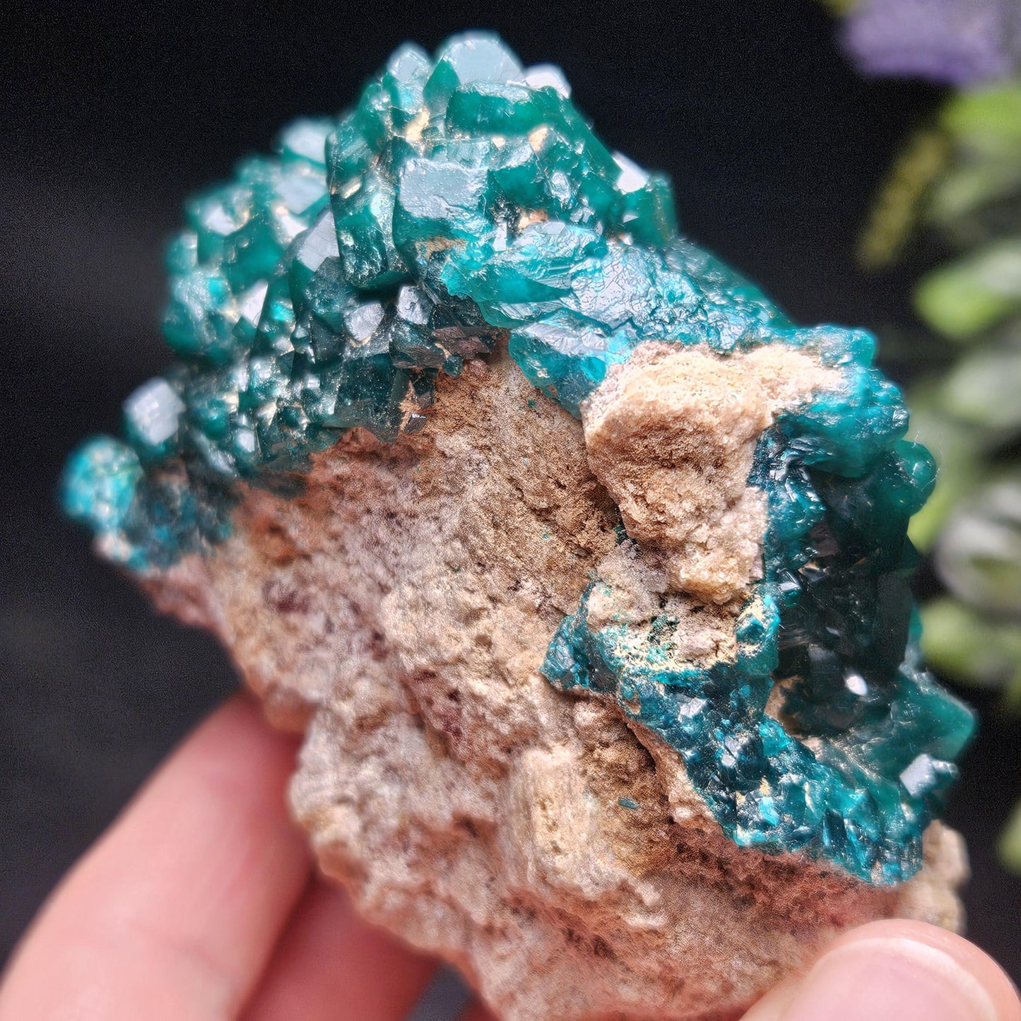 Dioptase Crystal Cluster from Congo 321g