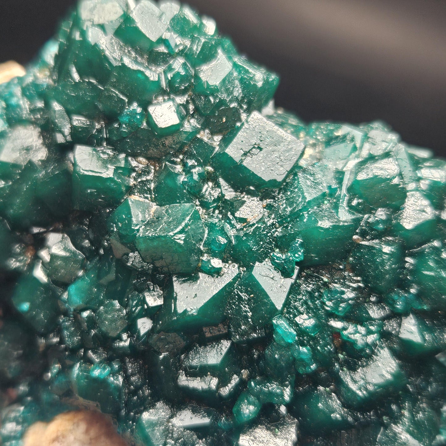 Dioptase Crystal Cluster from Congo 321g