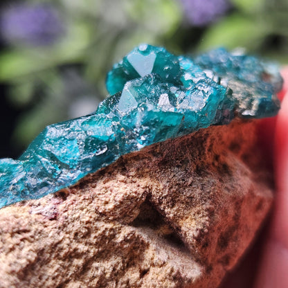 Dioptase Crystal Cluster from Congo 145.35g