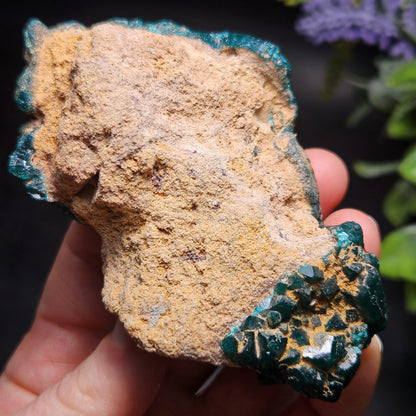 Dioptase Crystal Cluster from Congo 145.35g