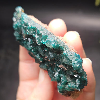 Dioptase Crystal Cluster from Congo 79.41g