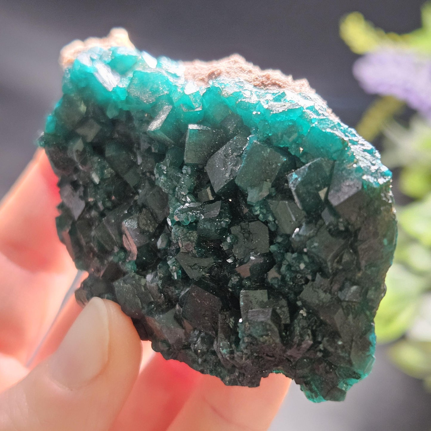 Dioptase Crystal Cluster from Congo 79.41g
