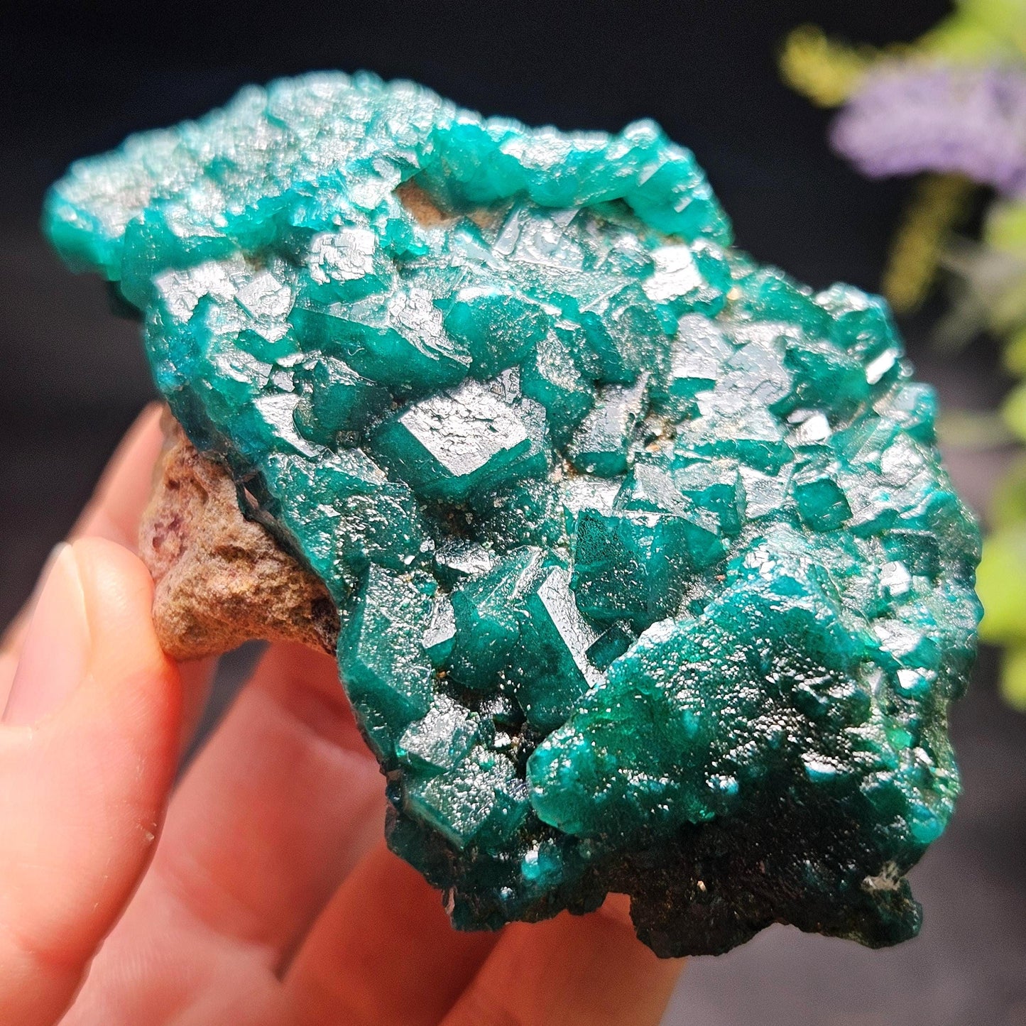 Dioptase Crystal Cluster from Congo 145.35g