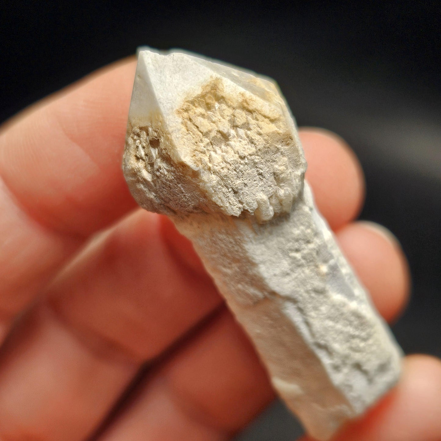 Skeletal Scepter Quartz Crystal Specimen