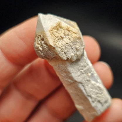 Skeletal Scepter Quartz Crystal Specimen