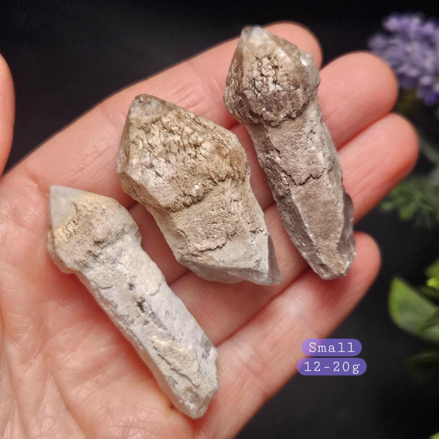 Skeletal Scepter Quartz Crystal Specimen