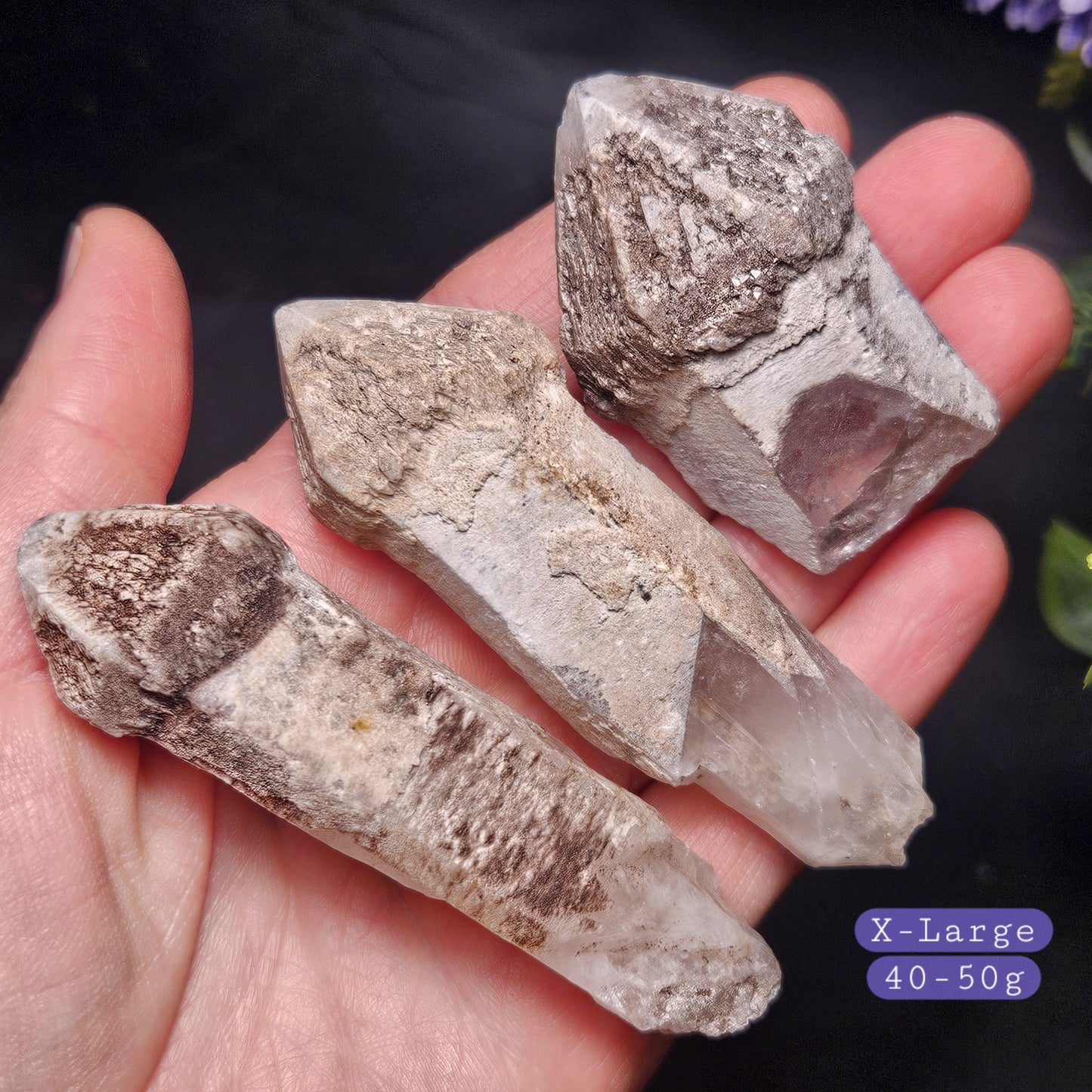 Skeletal Scepter Quartz Crystal Specimen