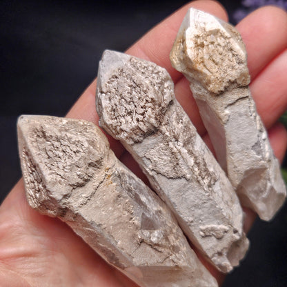 Skeletal Scepter Quartz Crystal Specimen