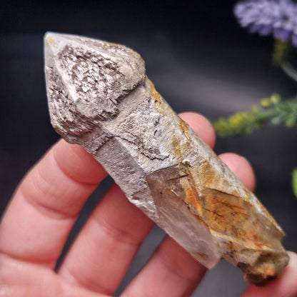 Skeletal Scepter Quartz Crystal Specimen