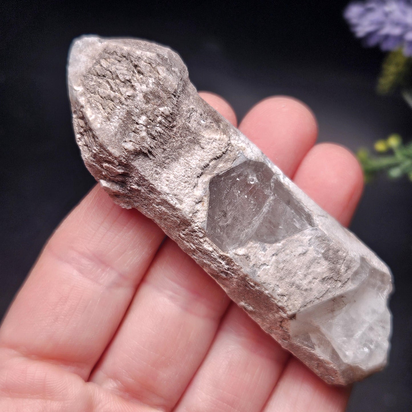 Skeletal Scepter Quartz Crystal Specimen