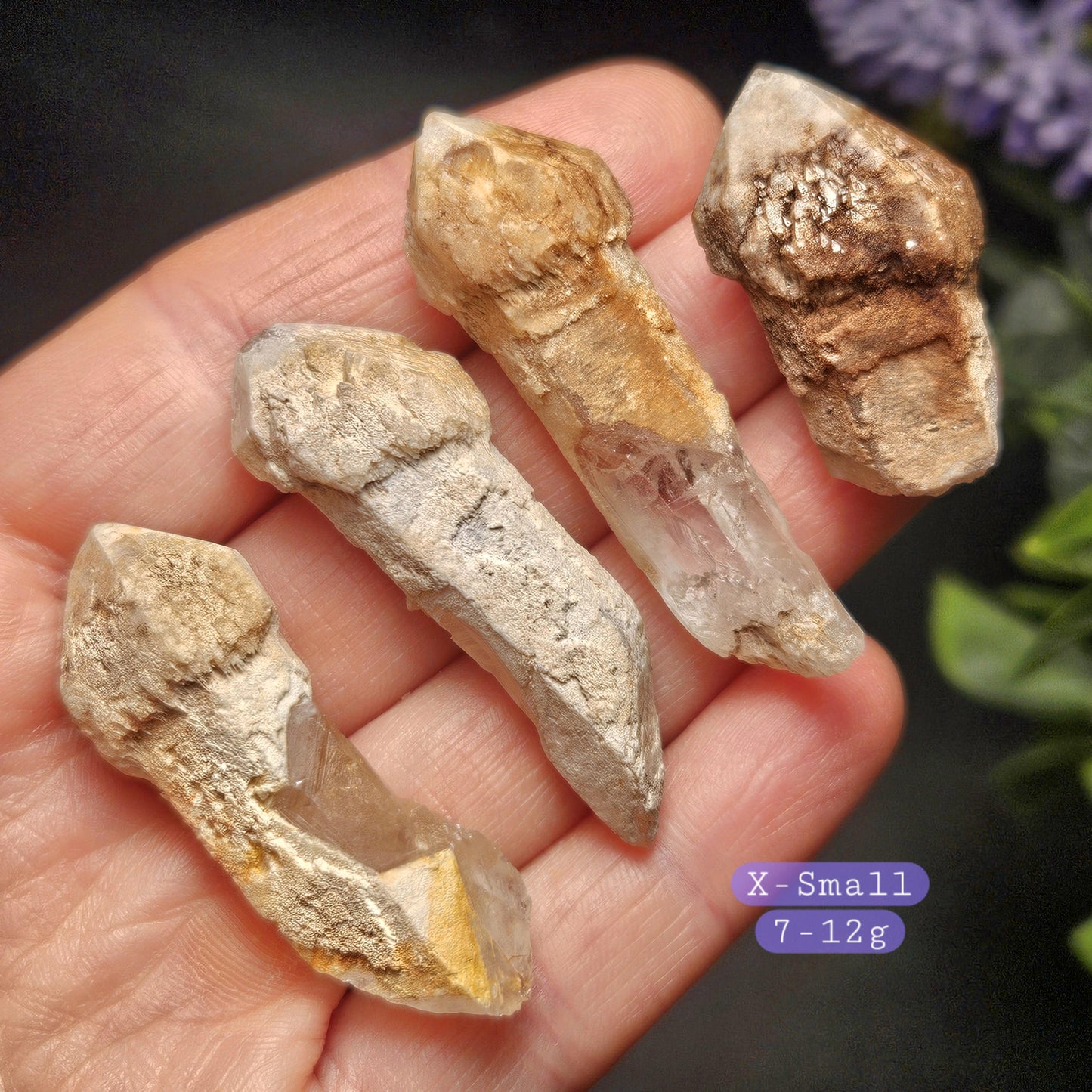 Skeletal Scepter Quartz Crystal Specimen
