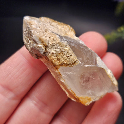 Skeletal Scepter Quartz Crystal Specimen