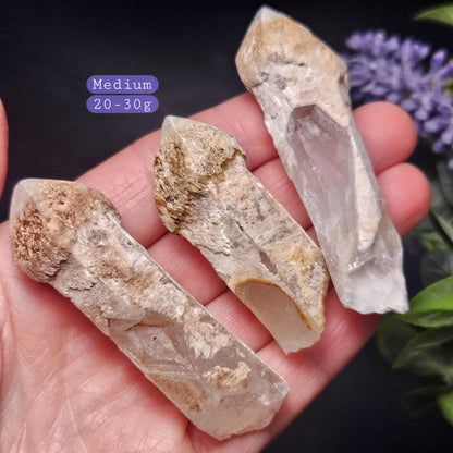 Skeletal Scepter Quartz Crystal Specimen