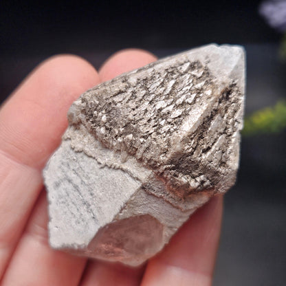 Skeletal Scepter Quartz Crystal Specimen