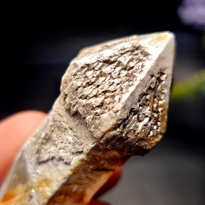 Skeletal Scepter Quartz Crystal Specimen
