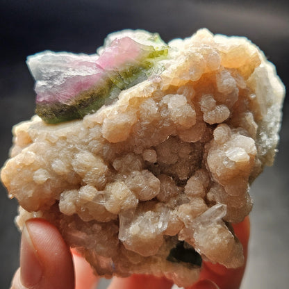 Blue Watermelon Tourmaline on Cookeite 355g, Bicolored Brazilian Tourmaline Specimen, Green Blue Pink Tourmaline Crystal