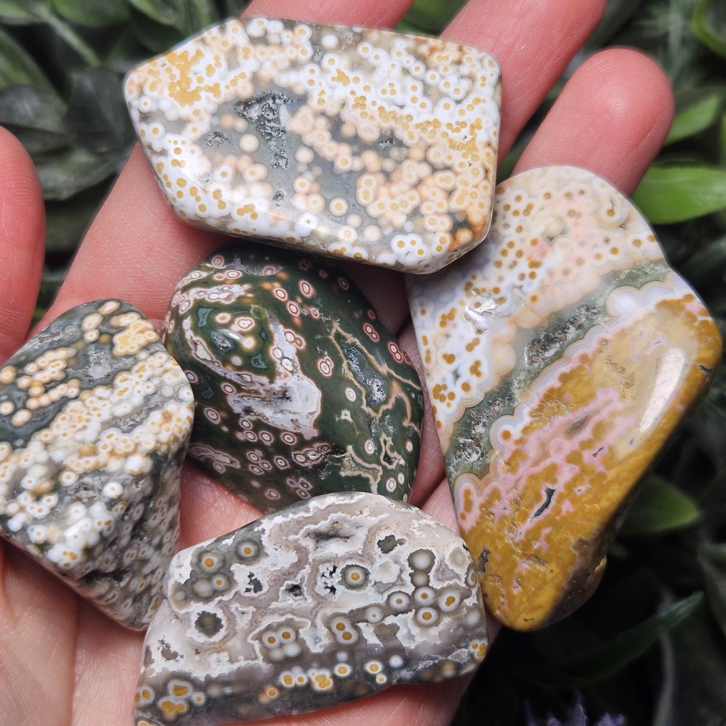 Orbicular Ocean Jasper Palm Stone, (1.25