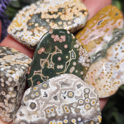 Orbicular Ocean Jasper Palm Stone, (1.25