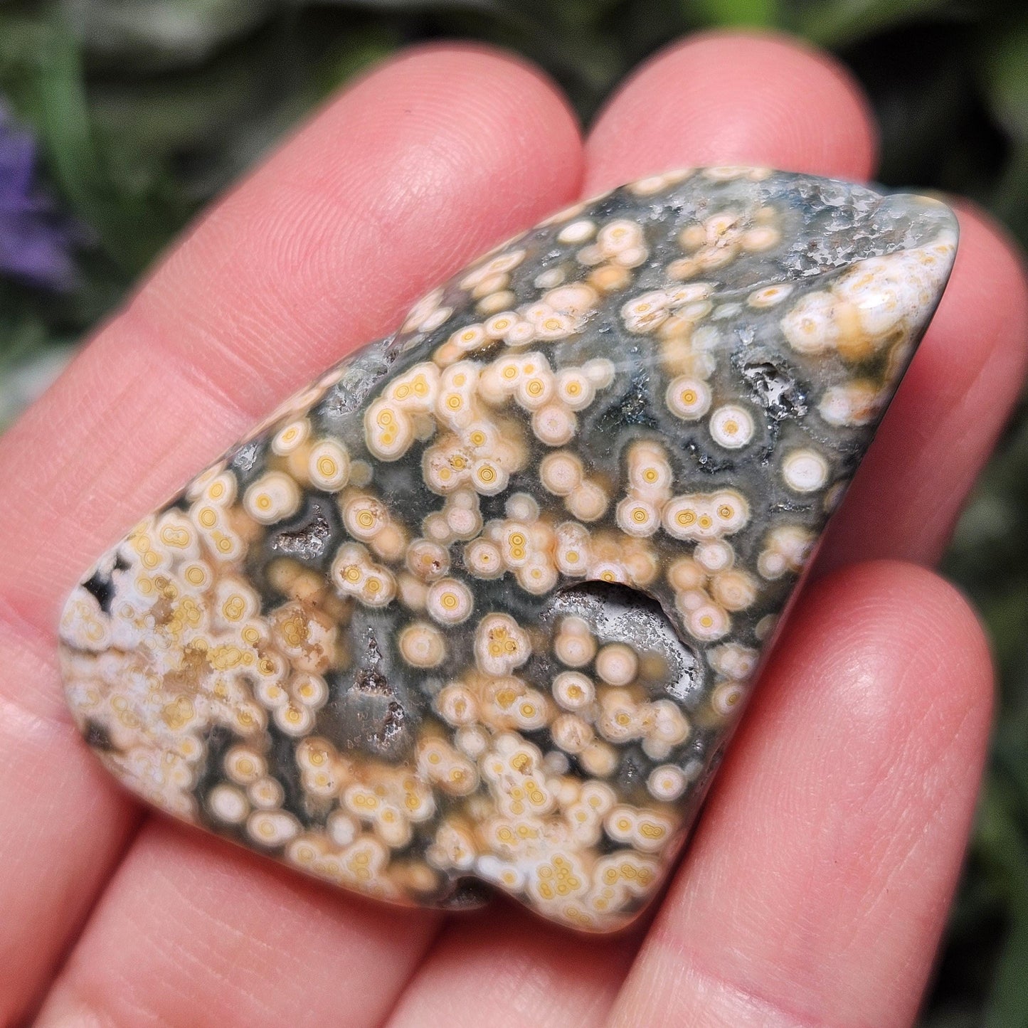 Orbicular Ocean Jasper Palm Stone, (1.25