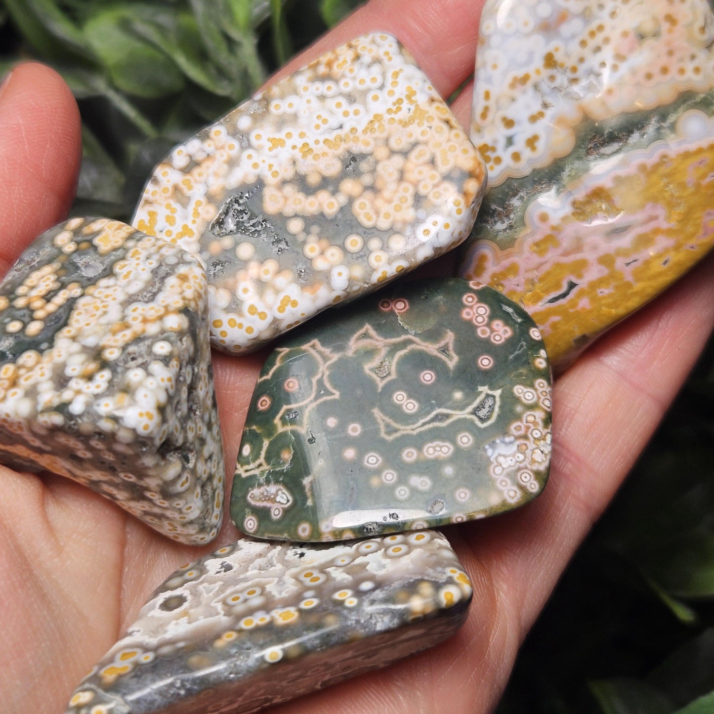 Orbicular Ocean Jasper Palm Stone, (1.25
